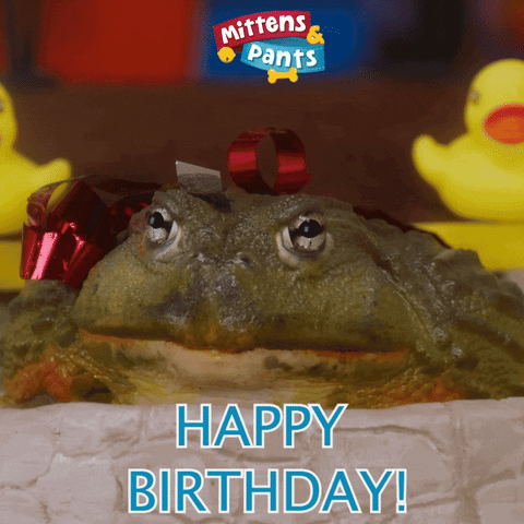 Windyisle happy birthday frog sourdough branded gifs GIF