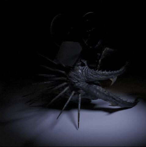 Margwa GIF