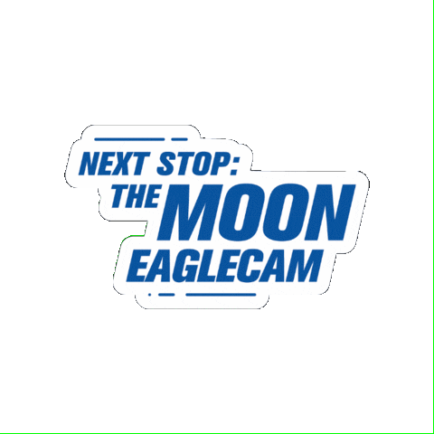 Moon Eagles Sticker by Embry-Riddle Aeronautical University