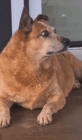 Awkward GIF