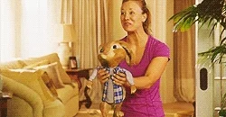 kaley cuoco bunny GIF