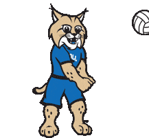 Lets Go Ball Sticker by Carroll Community College