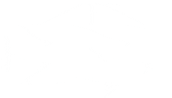 Chiche Flyfish Sticker
