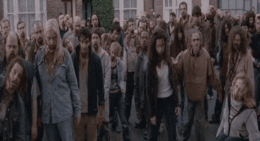 shaun of the dead everything about this film is perfect GIF by Maudit