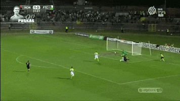 meszolysaman  GIF