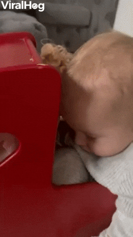 Baby Sleeps In Dolls Stroller GIF by ViralHog