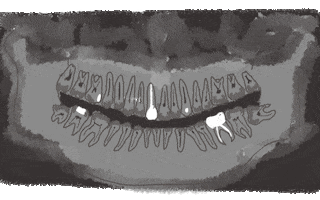 Dentist Odontologia GIF