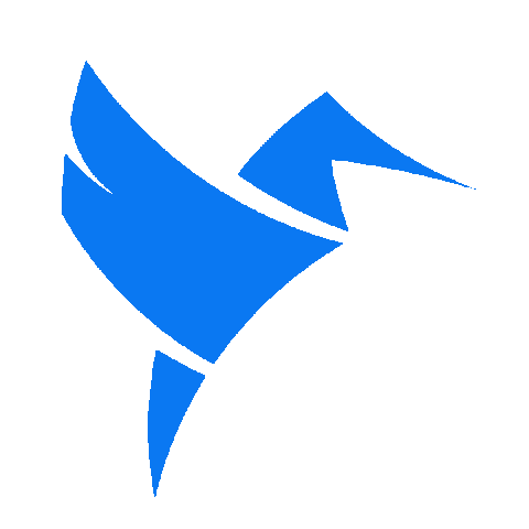 Codifly Sticker