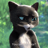 Cats In Suits GIFs - Find & Share on GIPHY