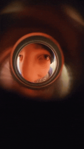 Curious GIF