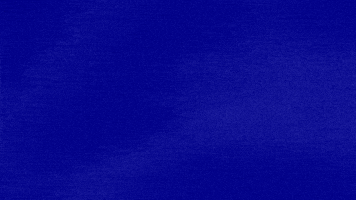 Look What The Cat Dragged In GIF by Jeopardy!