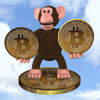 Money Bitcoin GIF