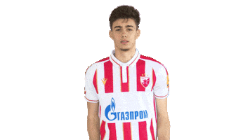 Red Star Football Sticker by FK Crvena zvezda