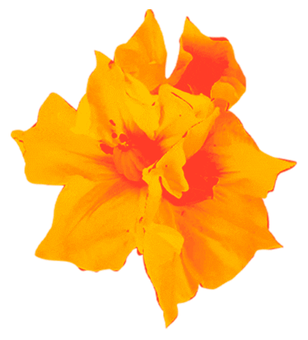 Hamburguesas El Corral Sticker