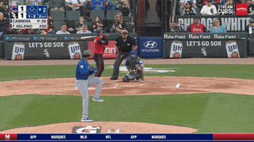 Chicago Cubs Baseball GIF