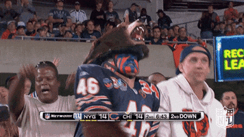 Chicago Bears Fans GIF by NFL