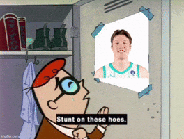 Charlotte Hornets GIF