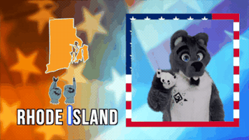 Flag GIF