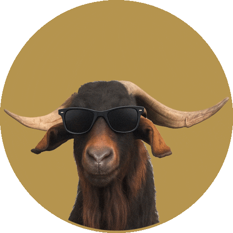 Pivo Nazdravi Sticker by Velkopopovický Kozel