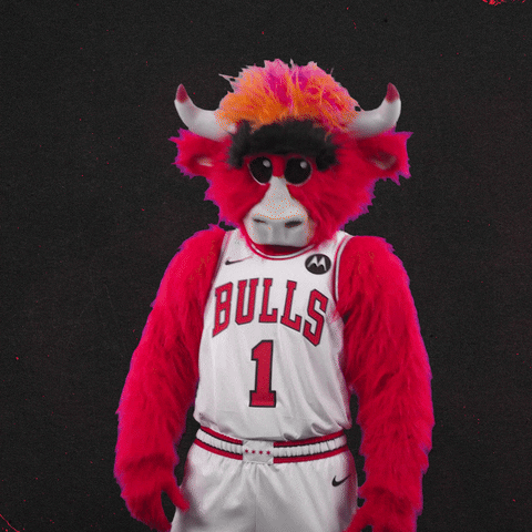 Lets Go Yes GIF by Chicago Bulls