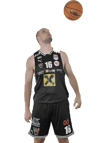 Poljakrenato Sticker by flyerswels
