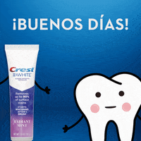 Toothpaste GIF by DrSquatchSoapCo - Find & Share on GIPHY