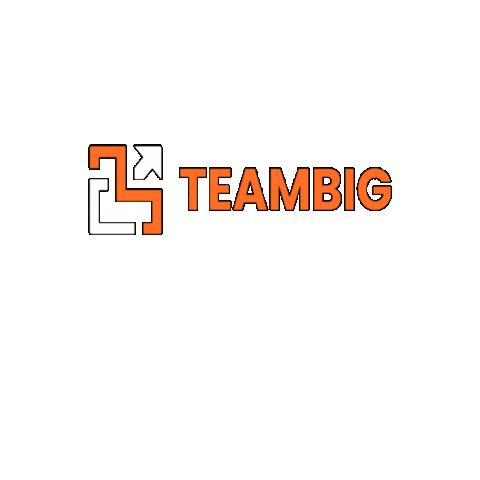 Teambig Sticker by Big Company