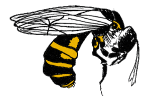 Busy Bee Art Sticker by penguinrandomhouse
