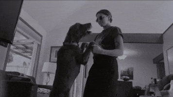 Love Song Could Be Good GIF by Kat Cunning