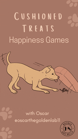Dog Treats GIF