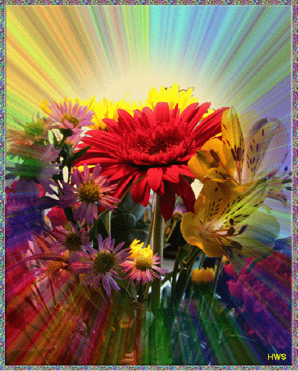 colours GIF PrimoGIF