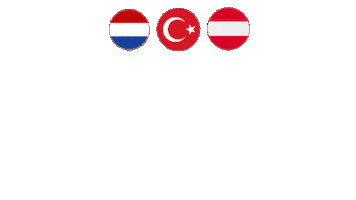 Turkey Istanbul Sticker by Turadent Clinic