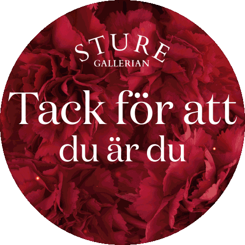 Valentinesday Sticker by Sturegallerian