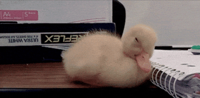 Tired Wednesday Morning GIF