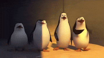 Gold Mine Penguin GIF