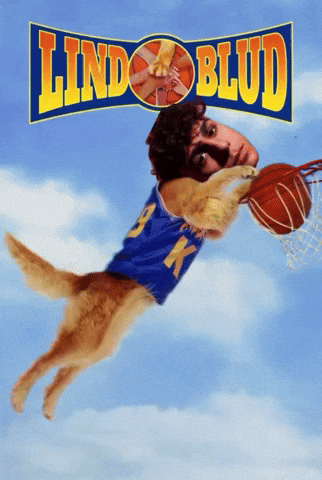 Airbud GIF