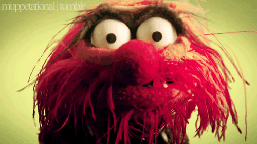 Gif Image Popular Muppet Animal Gif