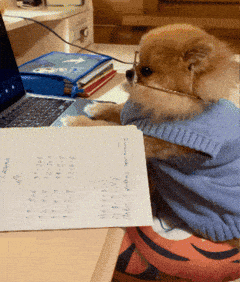 Dog Work GIF