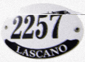Museo GIF by Lascano2257