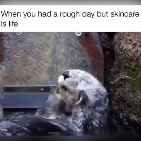 Meme GIF