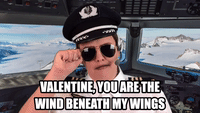 Pilot Valentine - You're the wind beneath my wings