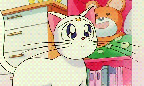 Sailor Moon Artemis GIF , Find \u0026 Share on GIPHY