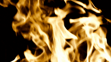 Lemvig-Thyborøn Håndbold GIF