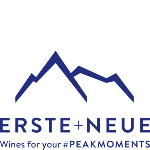 Erste+Neue Sticker