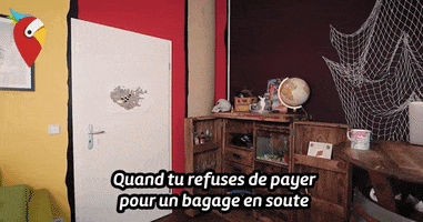 bagage en soute GIF by HolidayPirates