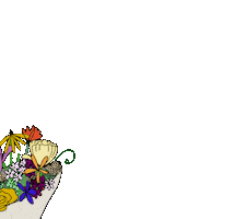 Flowers Czech Sticker