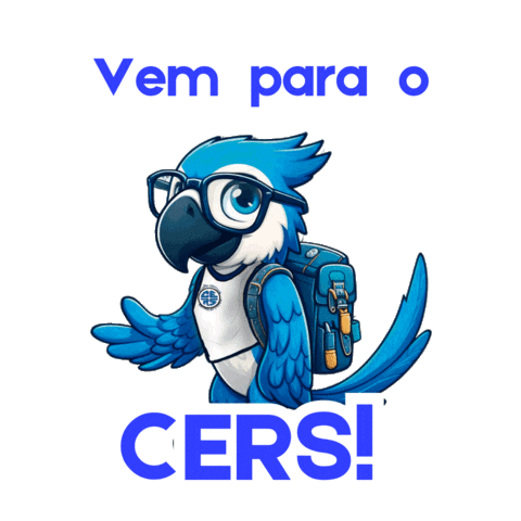 Colégio Recanto do Saber Sticker