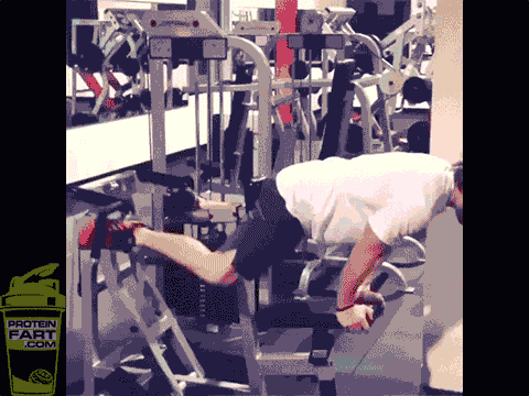 gym GIF