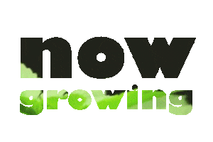 Anatman Pictures Sticker