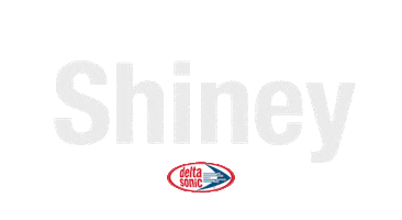 Car Wash Logo Sticker by DeltaSonicCarWash